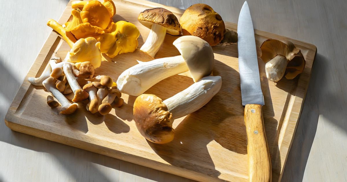 Variety of mushrooms